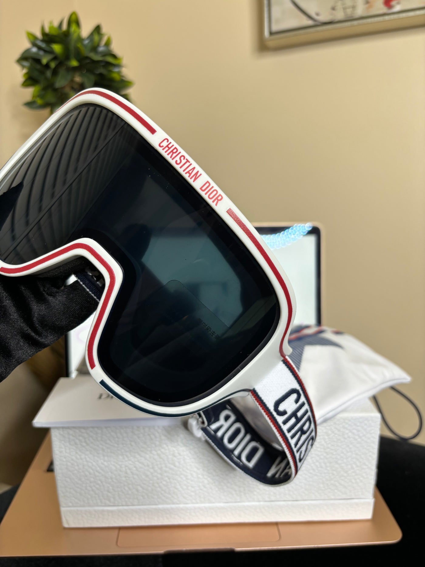 Díor Ski Glasses